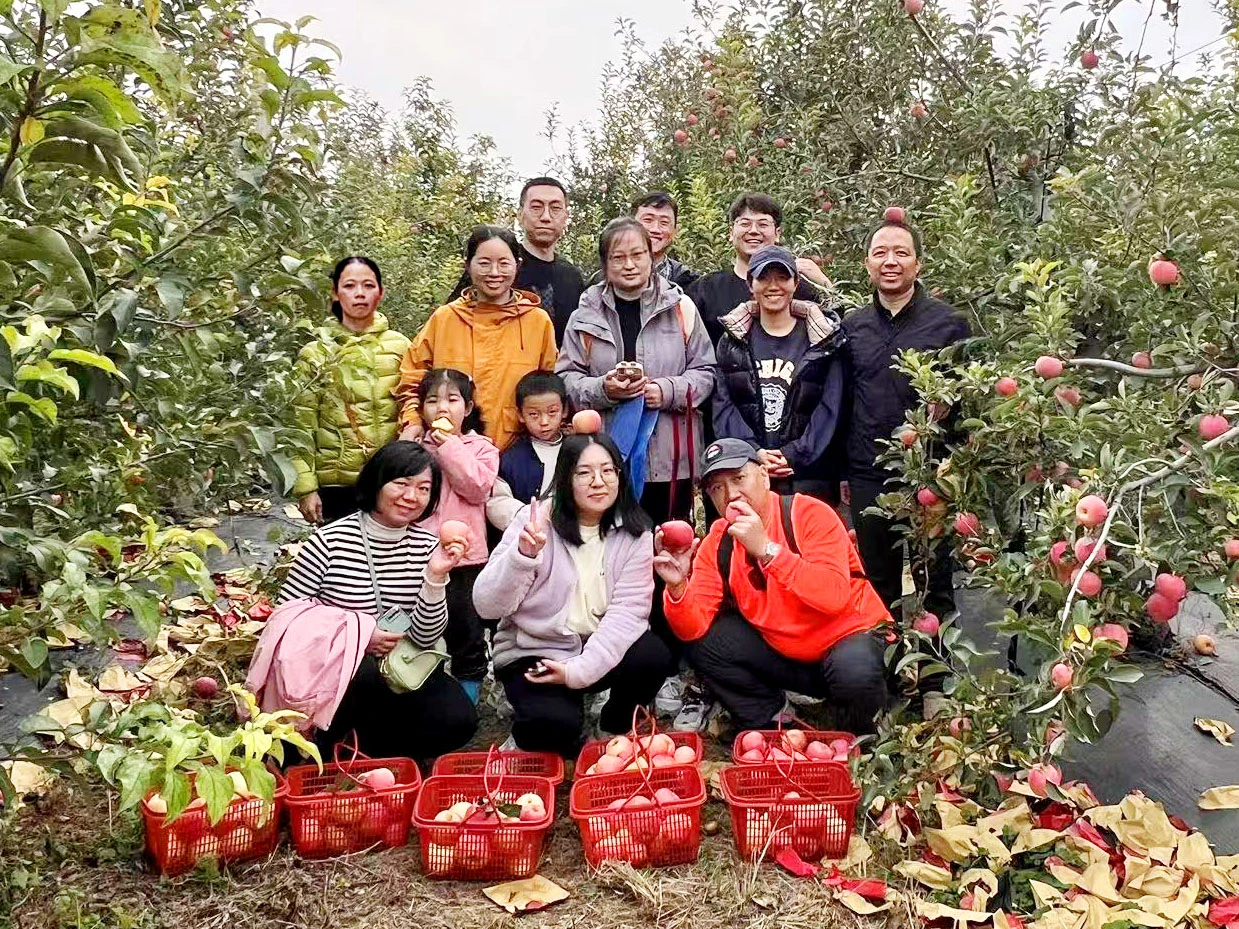 A Fruity Tour Of Group Building